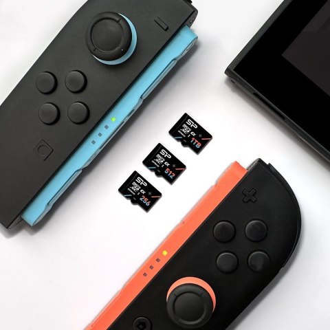 Karta pamięci microSDXC 256GB Express 7.1, PCIe Gen 3x1, NVMe, 880MB s