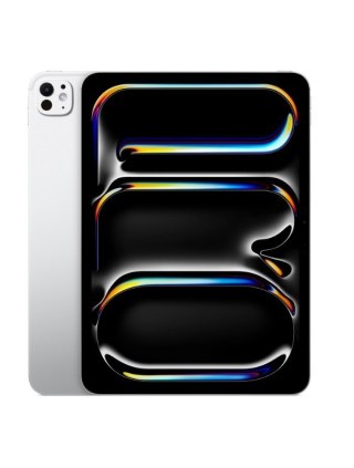IPad Pro 11-calowy Wi-Fi + Cellular 256 GB ze standardowym szkłem - Srebrny