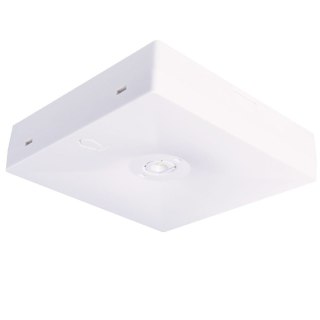 Oprawa Awaryjna Starlet Quad 2W 350 1h MT SQ A