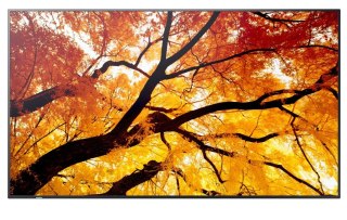 Monitor wielkoformatowy MultiSync M502 50 cali 550cd m2 24 7