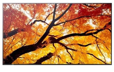 Monitor wielkoformatowy MultiSync M502 50 cali 550cd m2 24 7