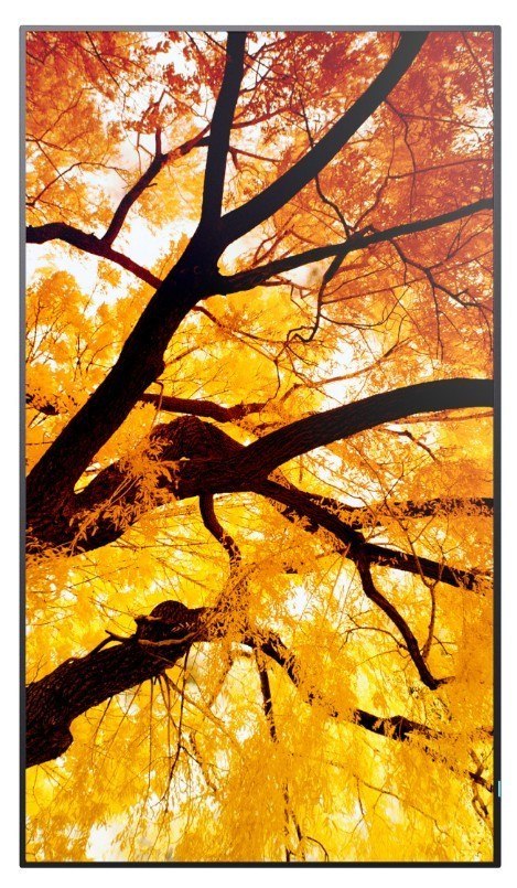 Monitor wielkoformatowy MultiSync M502 50 cali 550cd m2 24 7