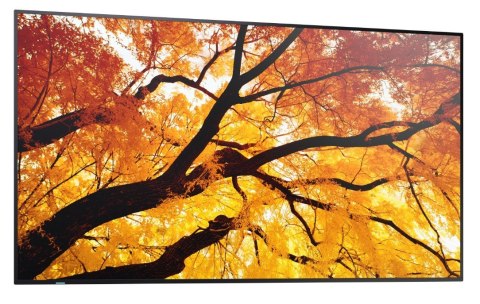 Monitor wielkoformatowy MultiSync M502 50 cali 550cd m2 24 7