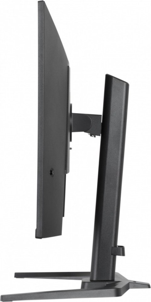Monitor G-Master 31.5 cala GB3295QSU-B1 QHD