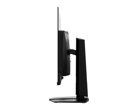 Monitor MAG 321UP QD-OLED 31 5 cala UHD LED Flat 165Hz czarny