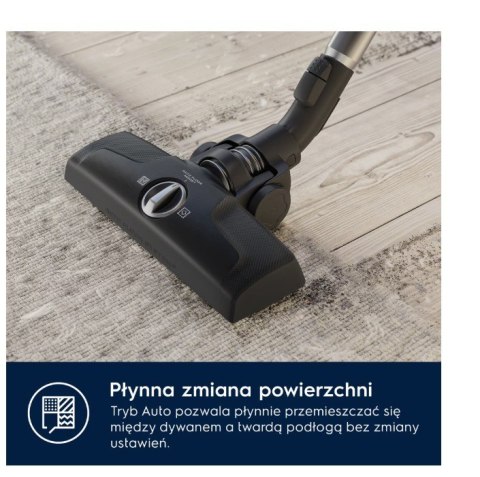 Odkurzacz workowy linia 600 EB61C2DBP Electrolux