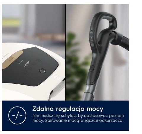 Odkurzacz workowy Pure D8 PD82-ALRG SILENCE