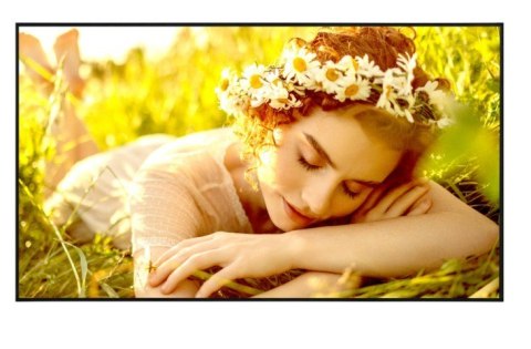 Monitor wielkoformatowy 75UL5Q-E 500cd m2 UHD 24 7