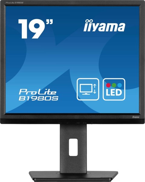 Monitor iiyama B1980S-B1 19 cali panel TN 1280x1024 250cd/m2 HDMI DP