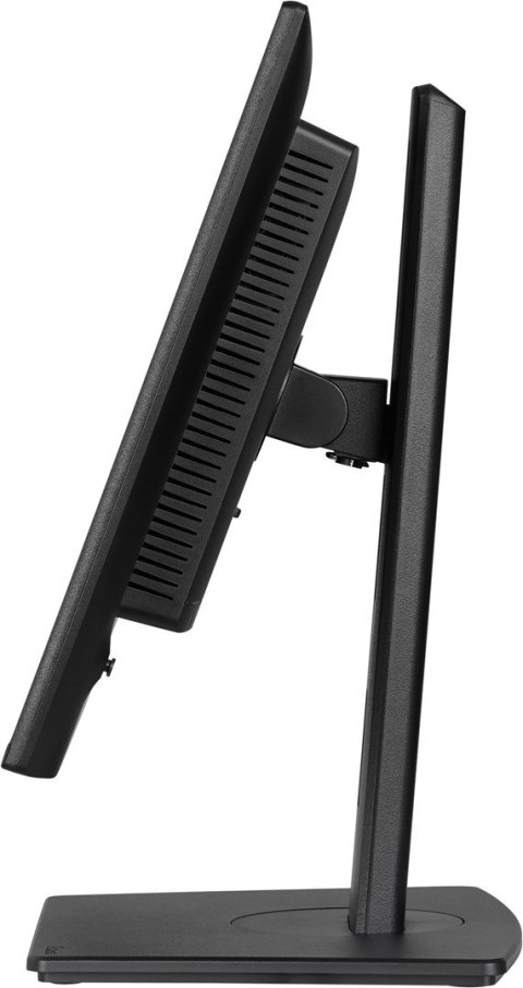 Monitor iiyama ProLite 24-calowy panel IPS Full HD z wąskimi ramkami, klasą energetyczną B, regulowaną wysokością