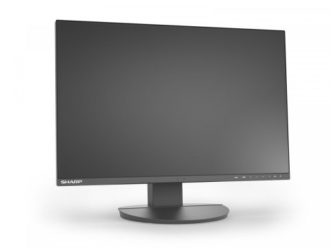 Monitor biznesowy MultiSync DD-EA241W 24 cale Czarny