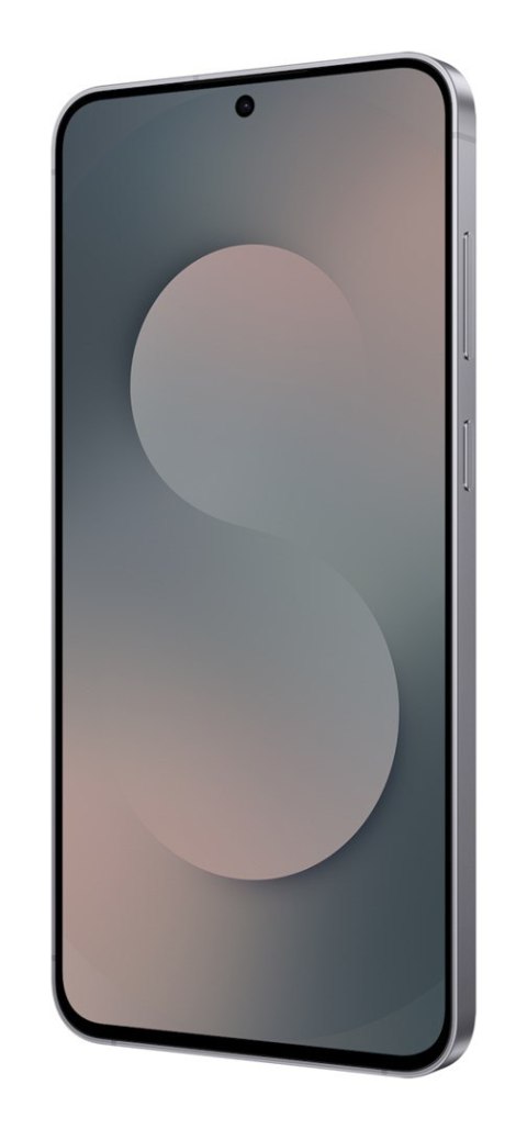 Samsung Galaxy S25 FE 17 cm (6.7") Dual SIM Android 16.0 5G USB Type-C 8 GB 128 GB 4900 mAh Czarny