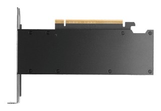 Karta graficzna PNY Quadro RTX PRO 2000 Blackwell 16GB GDDR7 4xmDP