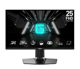 Monitor G255PF E2 24 5 cala LED FHD Flat 180Hz Black