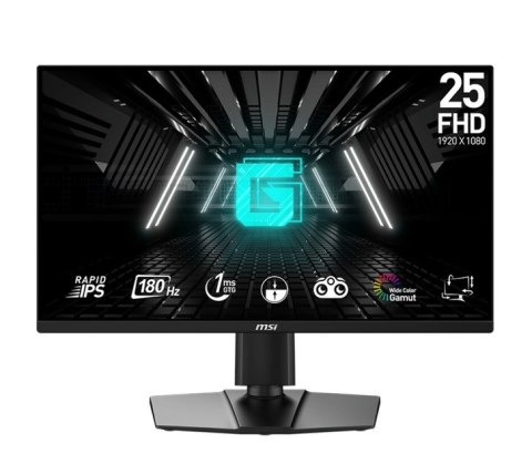 Monitor G255PF E2 24 5 cala LED FHD Flat 180Hz Black