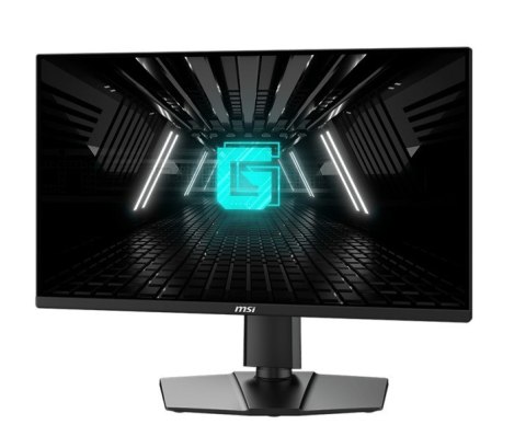 Monitor G255PF E2 24 5 cala LED FHD Flat 180Hz Black