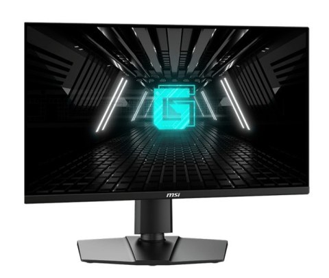 Monitor G255PF E2 24 5 cala LED FHD Flat 180Hz Black