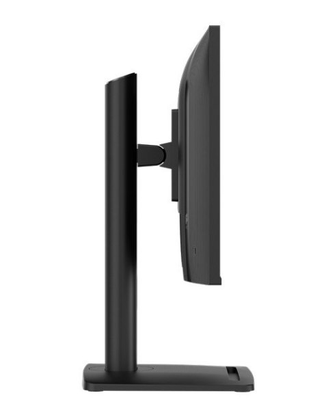 Monitor PRO MP245PG E14 23.8 cala LED FHD Flat 144Hz Black