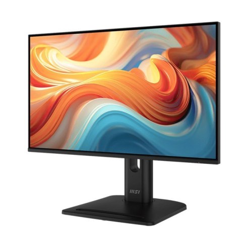Monitor PRO MP245PG E14 23.8 cala LED FHD Flat 144Hz Black