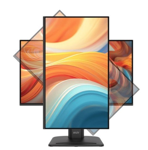 Monitor PRO MP245PG E14 23.8 cala LED FHD Flat 144Hz Black