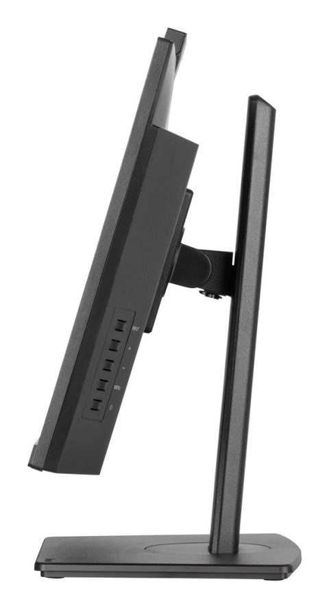 Monitor Iiyama TFT XUB2490HSUH IPS 24''//HDMI/DP/USB/Webcam/hoev - Płaski ekran - 60,5 cm