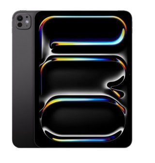 IPad Pro 13-calowy Wi-Fi + Cellular 1 TB ze szkłem o nanoteksturze - Gwiezdna czerń