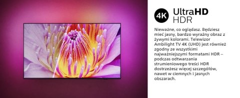 Telewizor LED 50 cali 50PUS8919 12