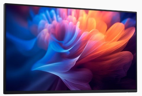 Monitor 27 cali P2725HWO IPS LED FullHD(1920x1080) 16:9 HDMI DP USB-C  VGA USB Bez podstawy 3Y