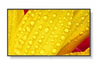 Monitor wielkoformatowy MultiSync M651-2 65 cali UHD 500cd m2 24 7