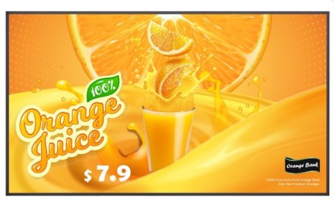 Monitor wielkoformatowy 43UL5Q-E 500cd m2 UHD 24 7