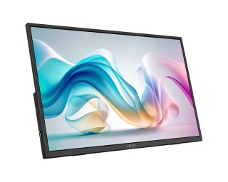 Monitor 15.6 cala PRO MP165 E6 LED/FHD/Flat/60Hz/czarny