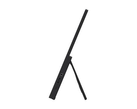 Monitor 15.6 cala PRO MP165 E6 LED/FHD/Flat/60Hz/czarny