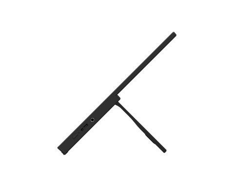 Monitor 15.6 cala PRO MP165 E6 LED/FHD/Flat/60Hz/czarny