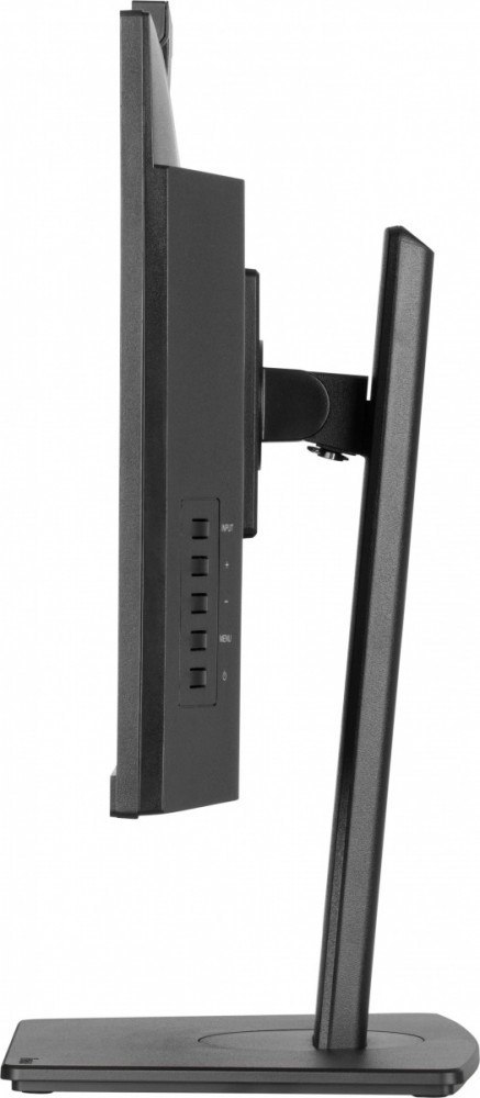 Monitor 24 cale XUB2490HSUH-B2 + Norton Small Business card 250G PL