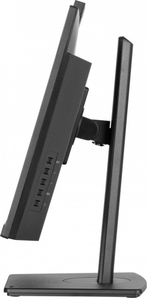 Monitor 24 cale XUB2490HSUH-B2 + Norton Small Business card 250G PL