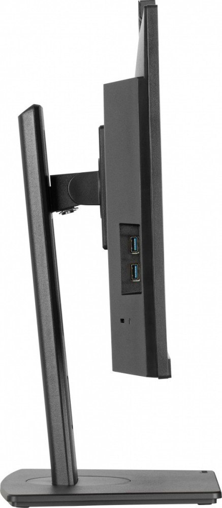 Monitor 24 cale XUB2490HSUH-B2 + Norton Small Business card 250G PL