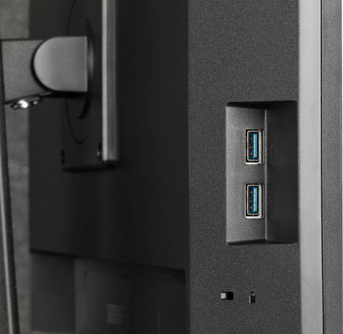 Monitor 24 cale XUB2490HSUH-B2 + Norton Small Business card 250G PL