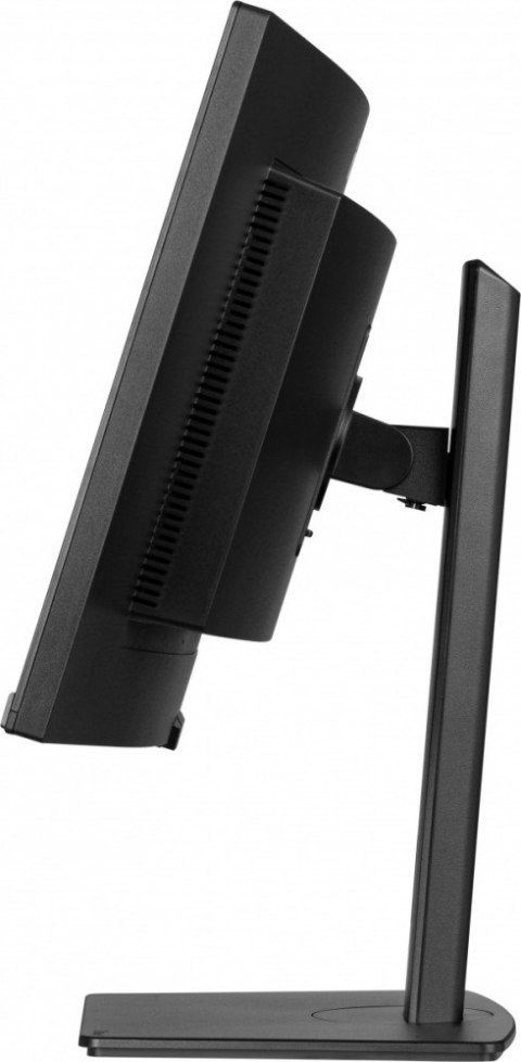 Monitor 34 cale XCB3497WQSNP-B1 + Norton Small Business card 250G PL