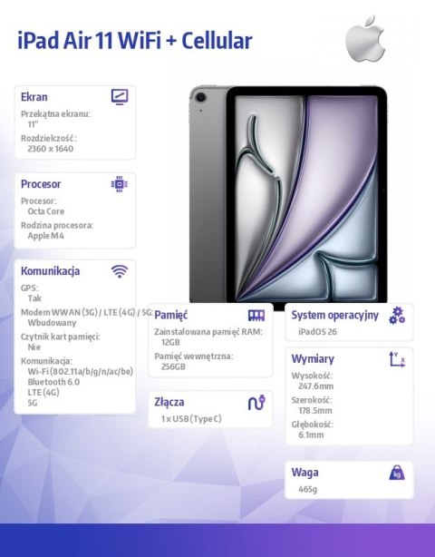 IPad Air 11 cali WiFi + Cellular 256GB Gwiezdna szarość