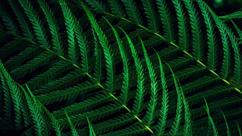 Monitor Philips (27,0") 27B2G5200 HDMI+DP+USB IPS