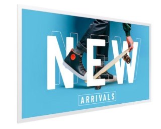 Monitor profesjonalny 32 cale EM32DX-A LH32EMDIAGBXEN