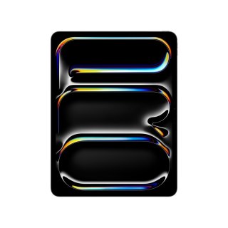 Apple iPad Pro 13" WIFI 256GB SpaceSchwarz (8.Gen.) iOS