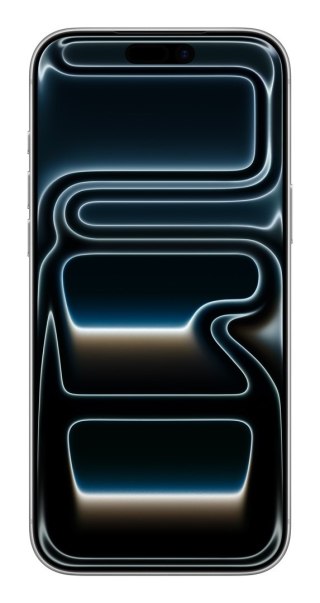 Apple iPhone 17 Pro Max 17,5 cm (6.9") Dual SIM iOS 26 5G USB Type-C 256 GB Srebrny