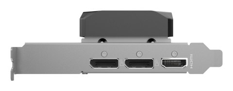 Zotac GAMING GeForce RTX 5050 Low Profile NVIDIA 8 GB GDDR6