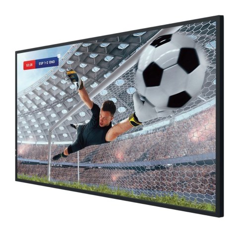 Monitor 55DM66D 55 cali 4K UHD IPS Digital Signage Display 24 7