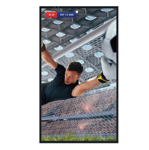 Monitor 55DM66D 55 cali 4K UHD IPS Digital Signage Display 24 7