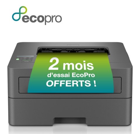 Drukarka Brother HL-L2445DW szary