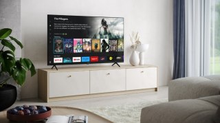 Telewizor LED 55 cali 55GK4245E