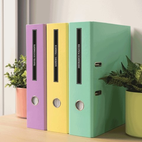 Brother PT-N20 drukarka etykiet Termotransferowy Kolor 180 x 180 DPI 12 mm/s