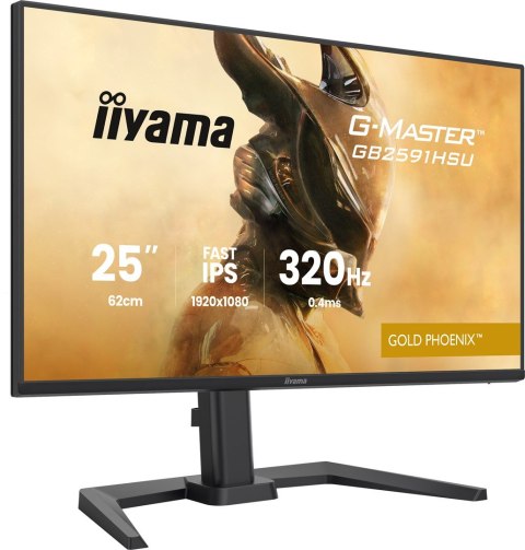 Iiyama G-MASTER GB2591HSU-B1 monitor komputerowy 62,2 cm (24.5") 1920 x 1080 px Full HD LED Czarny